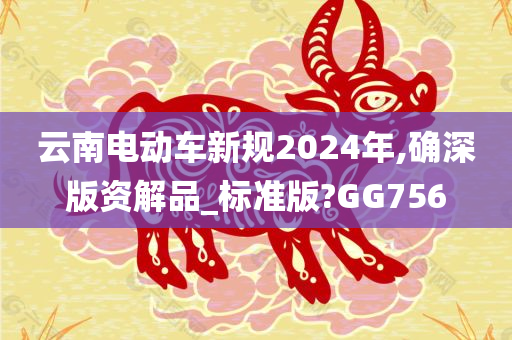 云南电动车新规2024年,确深版资解品_标准版?GG756