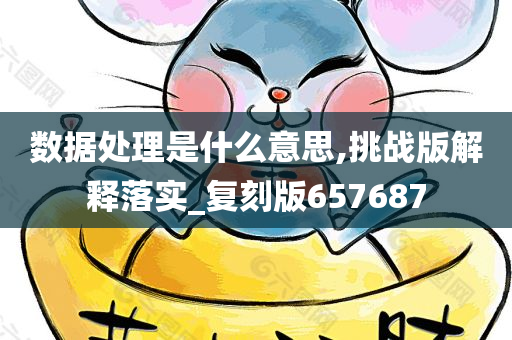 数据处理是什么意思,挑战版解释落实_复刻版657687