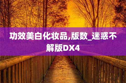 功效美白化妆品,版数_迷惑不解版DX4