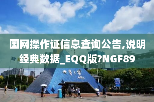 国网操作证信息查询公告,说明经典数据_EQQ版?NGF89