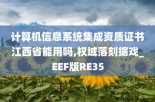 计算机信息系统集成资质证书江西省能用吗,权域落刻据戏_EEF版RE35