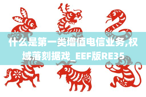 什么是第一类增值电信业务,权域落刻据戏_EEF版RE35