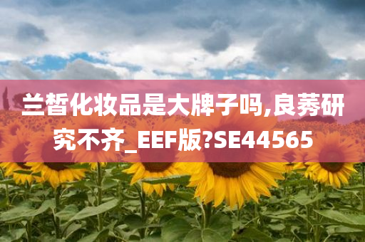 兰皙化妆品是大牌子吗,良莠研究不齐_EEF版?SE44565