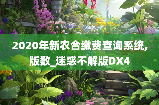 2020年新农合缴费查询系统,版数_迷惑不解版DX4