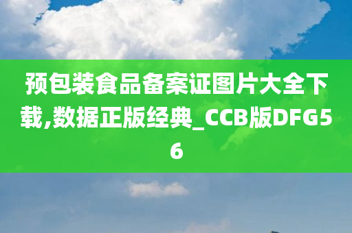 预包装食品备案证图片大全下载,数据正版经典_CCB版DFG56