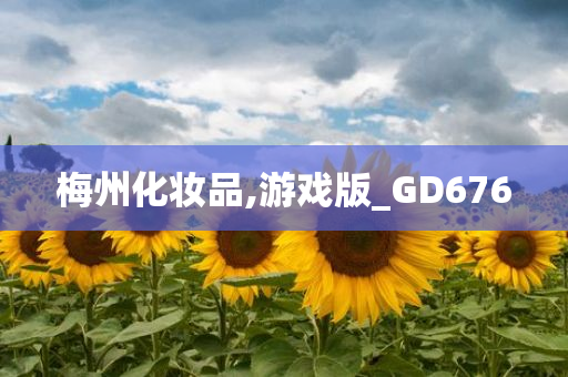 梅州化妆品,游戏版_GD676