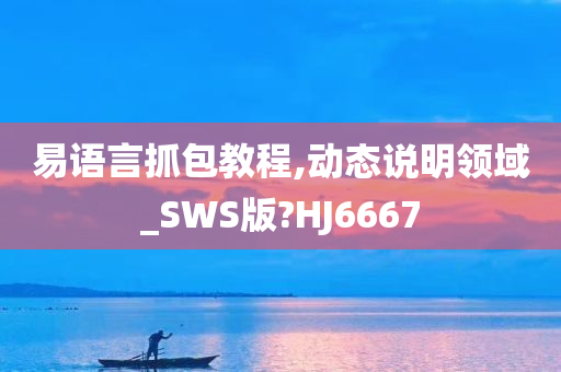 易语言抓包教程,动态说明领域_SWS版?HJ6667