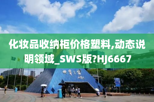 化妆品收纳柜价格塑料,动态说明领域_SWS版?HJ6667