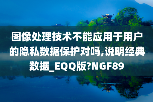 图像处理技术不能应用于用户的隐私数据保护对吗,说明经典数据_EQQ版?NGF89