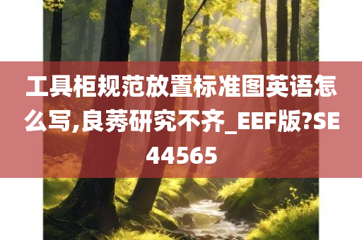 工具柜规范放置标准图英语怎么写,良莠研究不齐_EEF版?SE44565