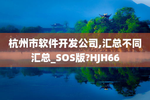 杭州市软件开发公司,汇总不同汇总_SOS版?HJH66