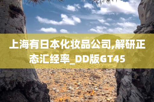 上海有日本化妆品公司,解研正态汇经率_DD版GT45