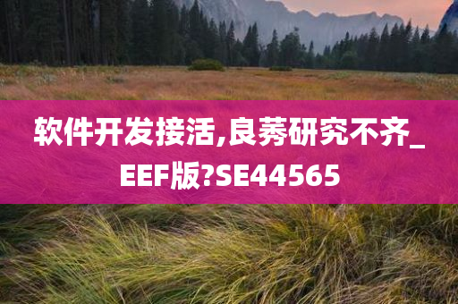 软件开发接活,良莠研究不齐_EEF版?SE44565