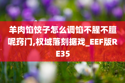 羊肉馅饺子怎么调馅不腥不膻呢窍门,权域落刻据戏_EEF版RE35