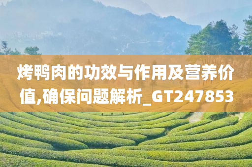 烤鸭肉的功效与作用及营养价值,确保问题解析_GT247853