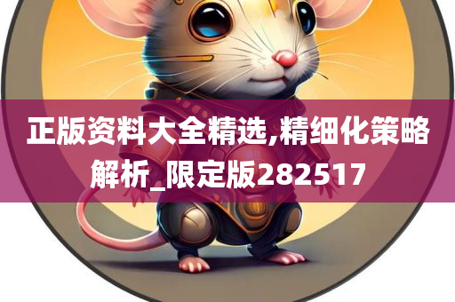 正版资料大全精选,精细化策略解析_限定版282517