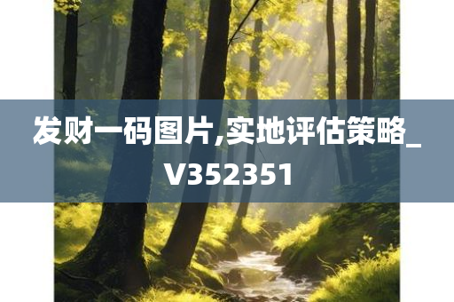 发财一码图片,实地评估策略_V352351