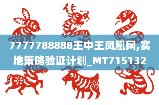 7777788888王中王凤凰网,实地策略验证计划_MT715132