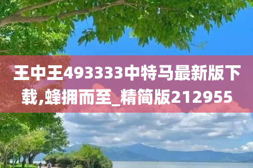 王中王493333中特马最新版下载,蜂拥而至_精简版212955