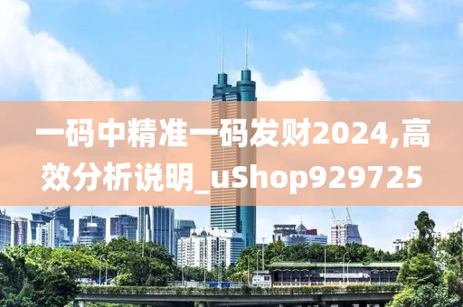 一码中精准一码发财2024,高效分析说明_uShop929725