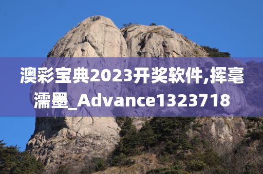 澳彩宝典2023开奖软件,挥毫濡墨_Advance1323718