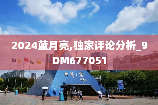 2024蓝月亮,独家评论分析_9DM677051