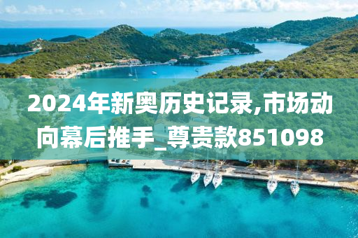 2024年新奥历史记录,市场动向幕后推手_尊贵款851098