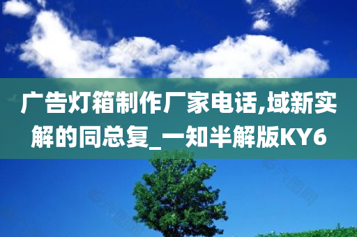 广告灯箱制作厂家电话,域新实解的同总复_一知半解版KY6