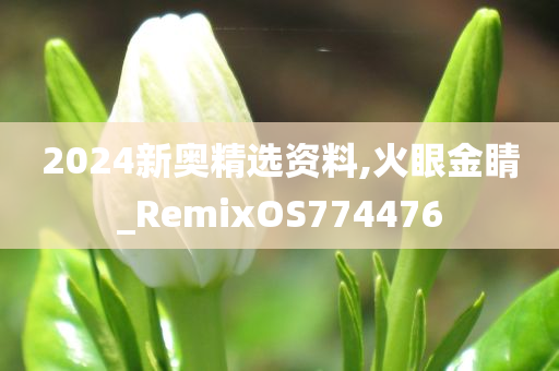 2024新奥精选资料,火眼金睛_RemixOS774476