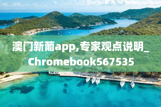 澳门新葡app,专家观点说明_Chromebook567535