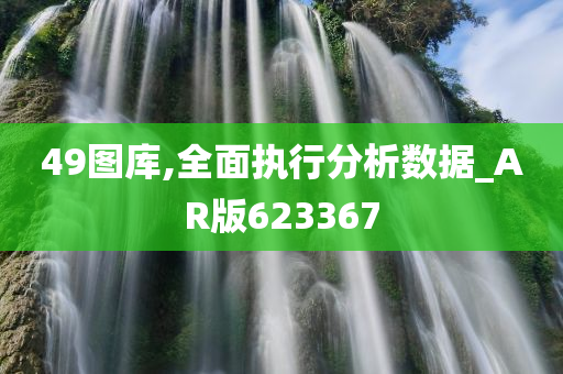 49图库,全面执行分析数据_AR版623367