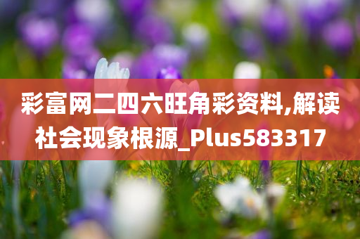 彩富网二四六旺角彩资料,解读社会现象根源_Plus583317