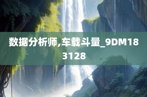 数据分析师,车载斗量_9DM183128