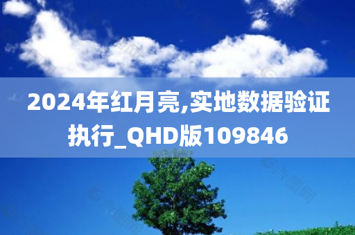 2024年红月亮,实地数据验证执行_QHD版109846