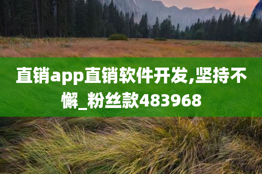 直销app直销软件开发,坚持不懈_粉丝款483968