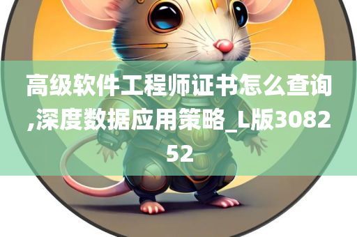 高级软件工程师证书怎么查询,深度数据应用策略_L版308252