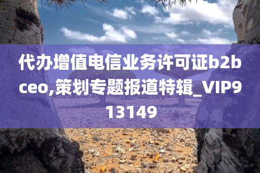 代办增值电信业务许可证b2bceo,策划专题报道特辑_VIP913149