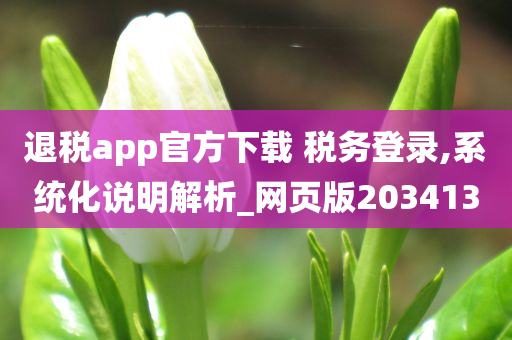 退税app官方下载 税务登录,系统化说明解析_网页版203413