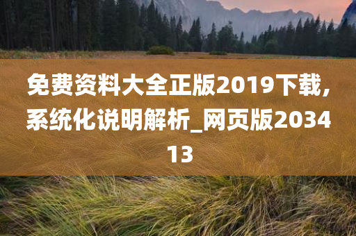 免费资料大全正版2019下载,系统化说明解析_网页版203413