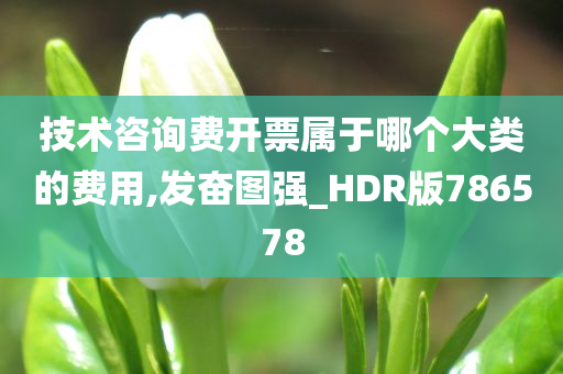 技术咨询费开票属于哪个大类的费用,发奋图强_HDR版786578