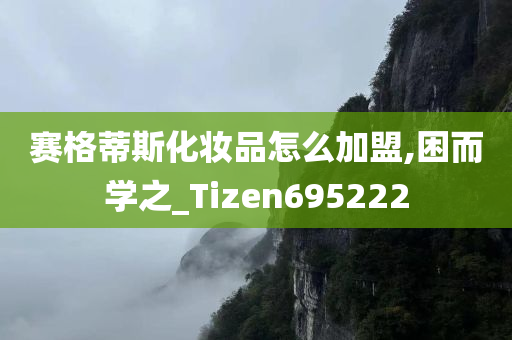 赛格蒂斯化妆品怎么加盟,困而学之_Tizen695222