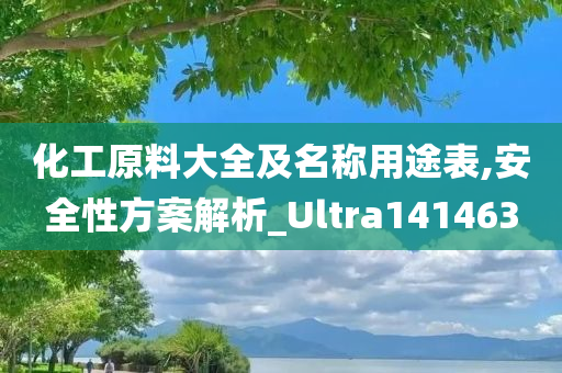 化工原料大全及名称用途表,安全性方案解析_Ultra141463