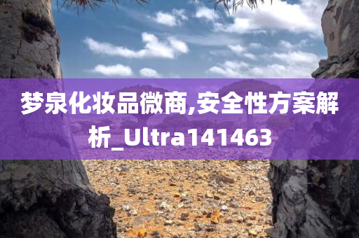 梦泉化妆品微商,安全性方案解析_Ultra141463