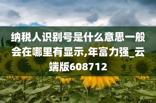 纳税人识别号是什么意思一般会在哪里有显示,年富力强_云端版608712