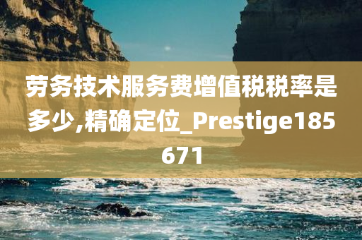 劳务技术服务费增值税税率是多少,精确定位_Prestige185671