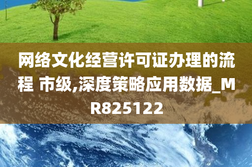 网络文化经营许可证办理的流程 市级,深度策略应用数据_MR825122