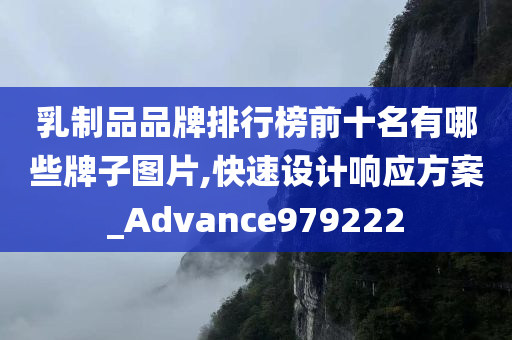 乳制品品牌排行榜前十名有哪些牌子图片,快速设计响应方案_Advance979222