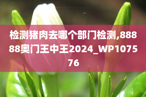 检测猪肉去哪个部门检测,88888奥门王中王2024_WP107576