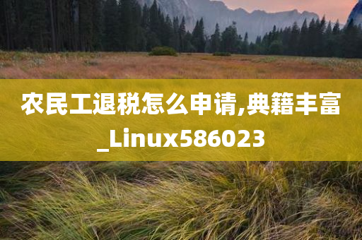 农民工退税怎么申请,典籍丰富_Linux586023