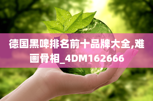 德国黑啤排名前十品牌大全,难画骨相_4DM162666